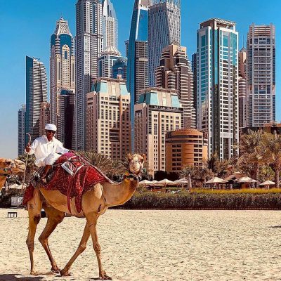 8824da59f0165f5a787f23de82cfb399